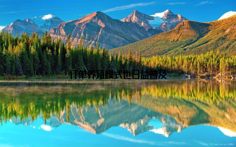 订单养殖模式也日益普及