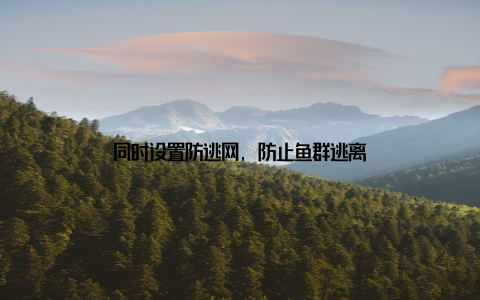 同时设置防逃网, 防止鱼群逃离