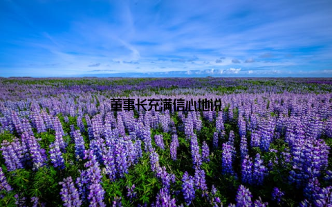 董事长充满信心地说