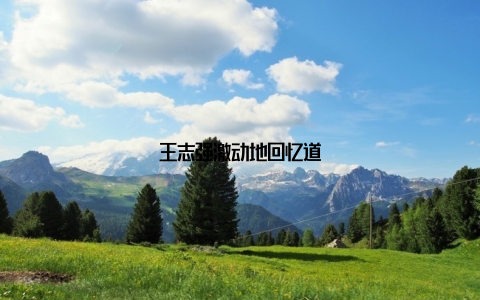 王志强激动地回忆道