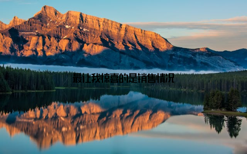最让我惊喜的是销售情况