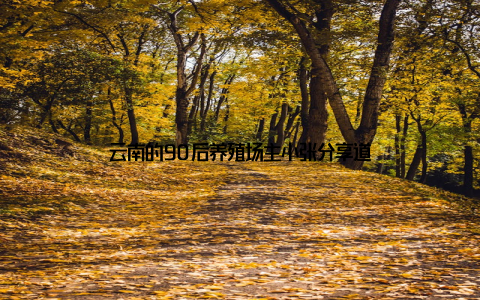 云南的90后养殖场主小张分享道