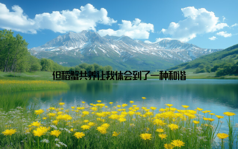 但稻蟹共养让我体会到了一种和谐