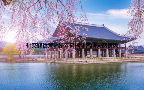 社交媒体营销是年轻创业者的天然优势