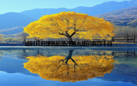 适时开启增氧机是改善水质的有效手段