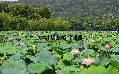 资本市场也嗅到了机遇