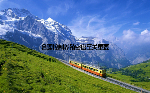 合理控制养殖密度至关重要