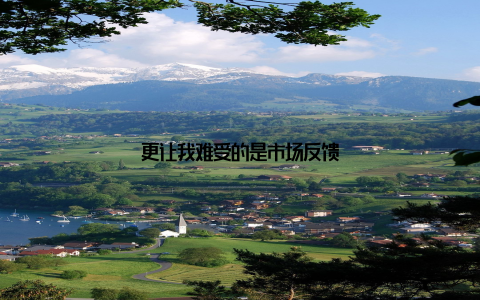 更让我难受的是市场反馈