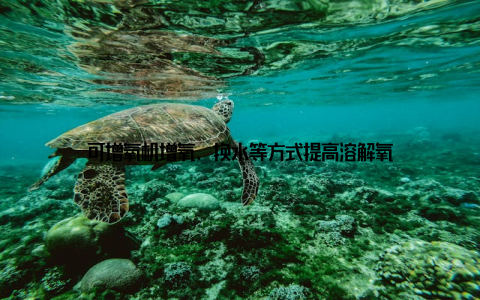 可增氧机增氧、换水等方式提高溶解氧
