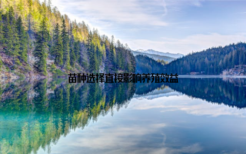 苗种选择直接影响养殖效益