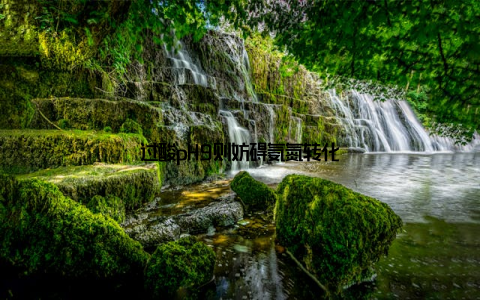 过酸pH9则妨碍氨氮转化