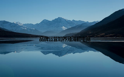 – 品牌运营如养殖海鲜电商