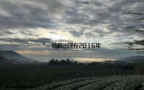 ” 转机出现在2016年