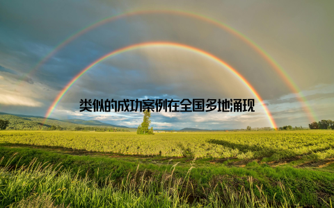 类似的成功案例在全国多地涌现