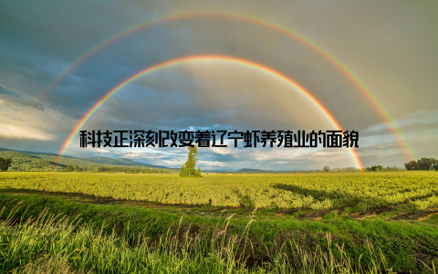 科技正深刻改变着辽宁虾养殖业的面貌