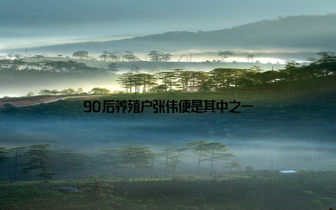 90后养殖户张伟便是其中之一