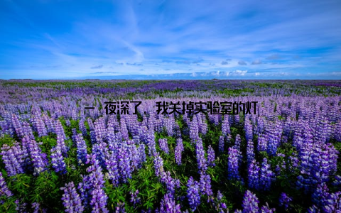 — 夜深了, 我关掉实验室的灯