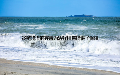 冷链物流的完善为活蛏销售提供了保障
