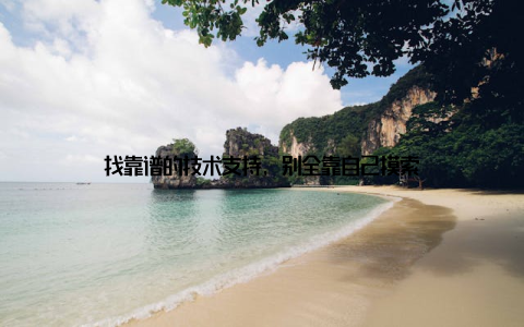 找靠谱的技术支持, 别全靠自己摸索