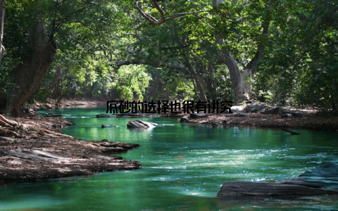 底砂的选择也很有讲究