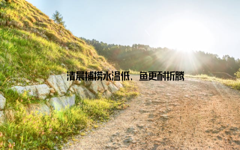 – 清晨捕捞水温低, 鱼更耐折腾