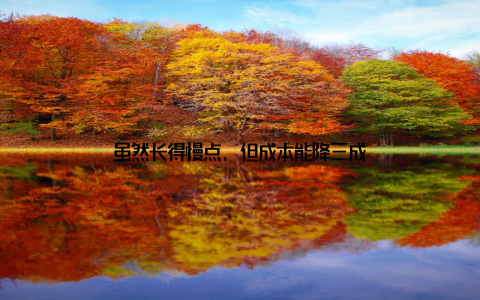 虽然长得慢点, 但成本能降三成