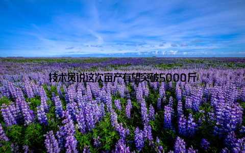 技术员说这次亩产有望突破5000斤