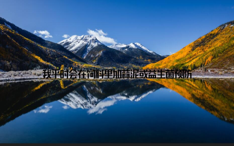 我平时会在饲料里加蒜泥或益生菌预防