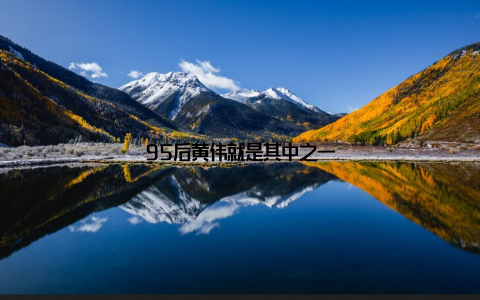 95后黄伟就是其中之一