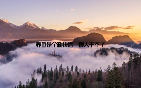 养鱼是个勤快活, 懒人干不了