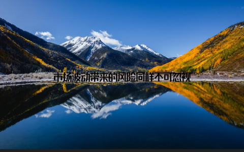 市场波动带来的风险同样不可忽视