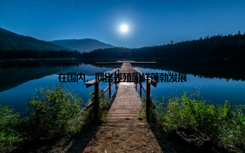 在国内, 网络养殖同样蓬勃发展