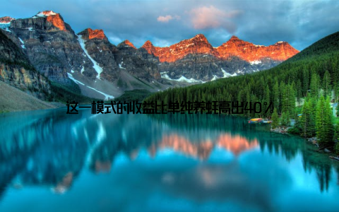 这一模式的收益比单纯养蚝高出40%