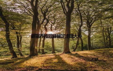 根据养殖规模确定池塘大小