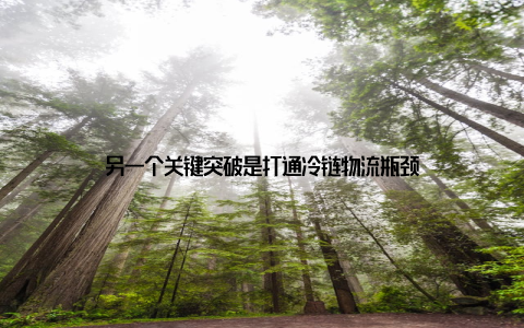 另一个关键突破是打通冷链物流瓶颈