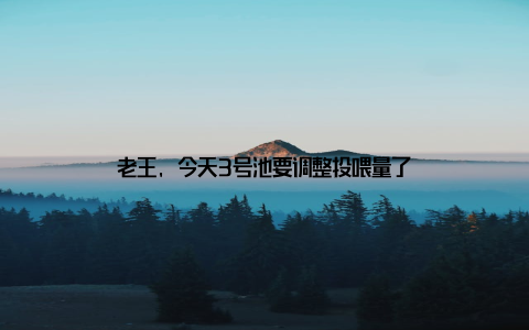 老王, 今天3号池要调整投喂量了