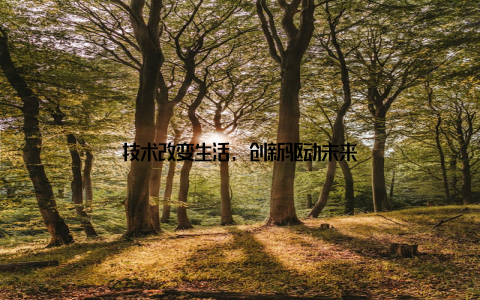 技术改变生活, 创新驱动未来