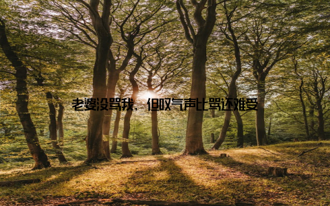 老婆没骂我, 但叹气声比骂还难受