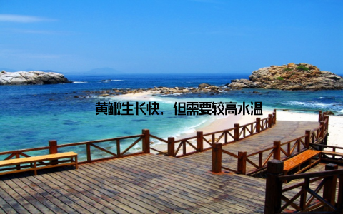 – 黄鳅生长快, 但需要较高水温