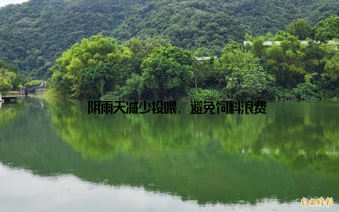 – 阴雨天减少投喂, 避免饲料浪费