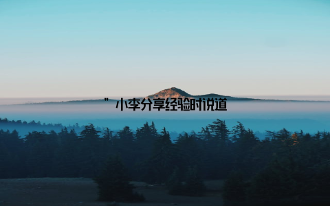 ”小李分享经验时说道