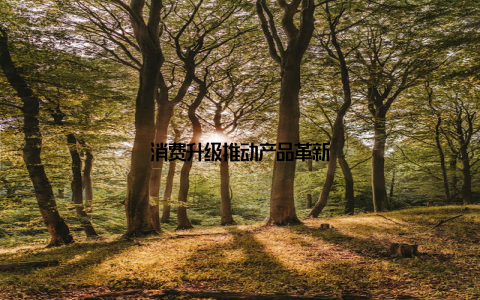 消费升级推动产品革新