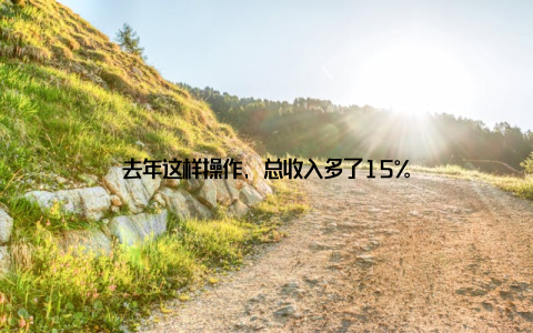 去年这样操作, 总收入多了15%