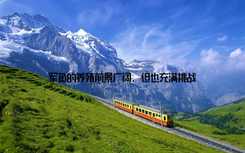 军鱼的养殖前景广阔, 但也充满挑战