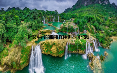 社交平台的助推作用也不可忽视