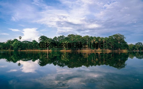 回乡创业的海归硕士小林说