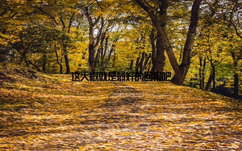 这大概就是最好的回报吧