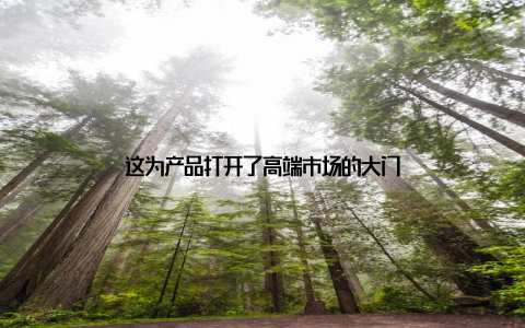 这为产品打开了高端市场的大门