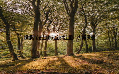 投喂方法上讲究定时定量、少喂多餐