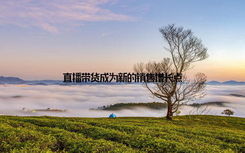 直播带货成为新的销售增长点